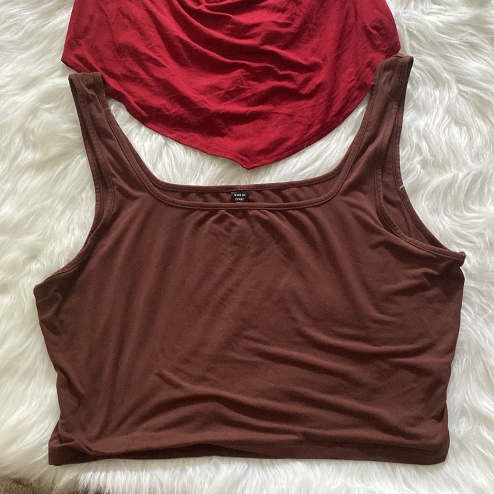 Set of 2 Crop Tops. Burgundy Halter & Brown Tank - Picture 3 of 8